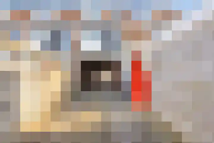 Zuideinde 124 a Roelofarendsveen thumbnail 19