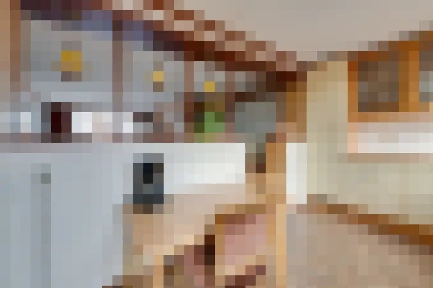 Zuideinde 129 Volendam thumbnail 24