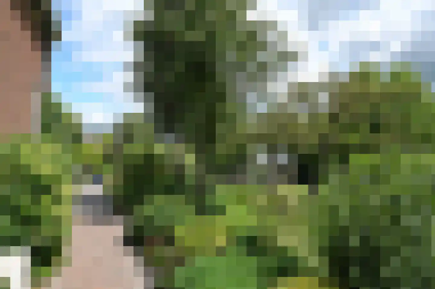Zuideinde 13 Zevenhoven thumbnail 25