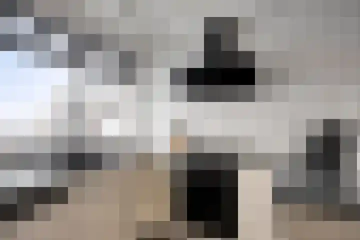 Zuideinde 134 Roelofarendsveen thumbnail 10