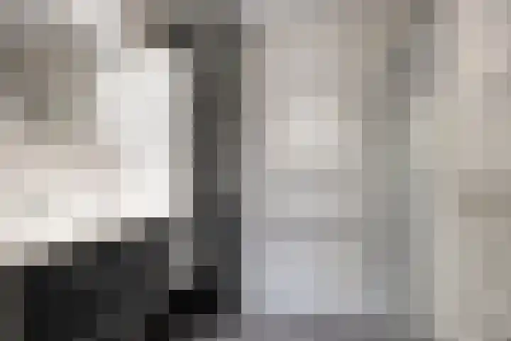 Zuideinde 134 Roelofarendsveen thumbnail 14