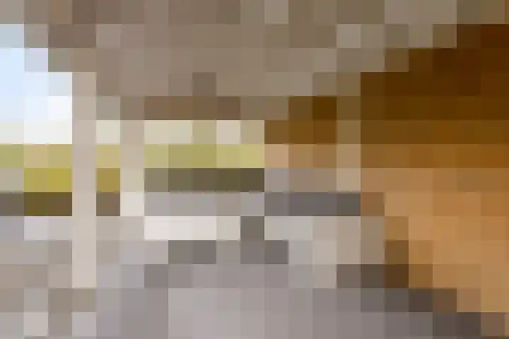 Zuideinde 134 Roelofarendsveen thumbnail 19