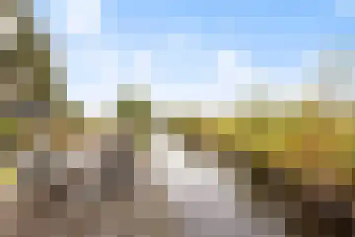 Zuideinde 134 Roelofarendsveen thumbnail 20