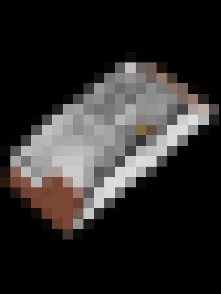 Zuideinde 134 Roelofarendsveen thumbnail 36