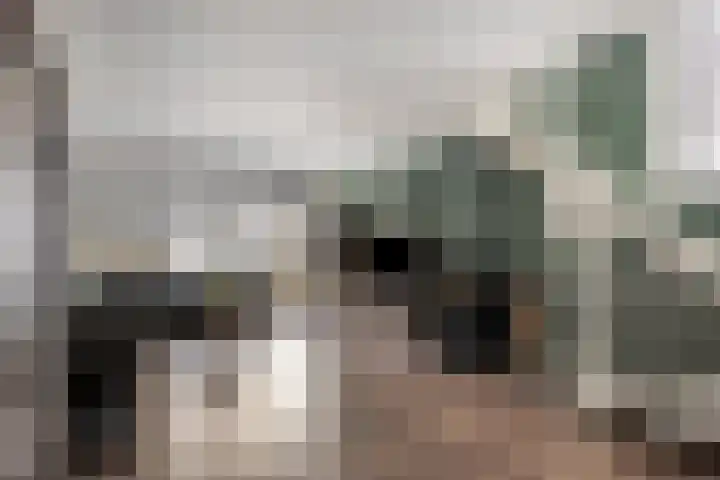 Zuideinde 134 Roelofarendsveen thumbnail 4