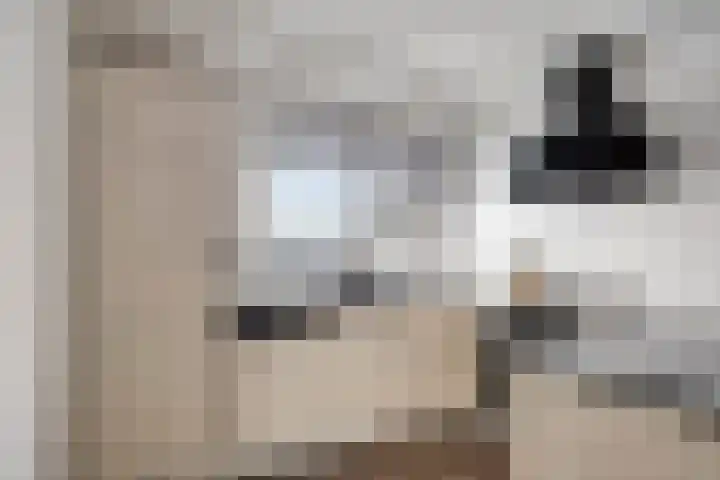 Zuideinde 134 Roelofarendsveen thumbnail 9
