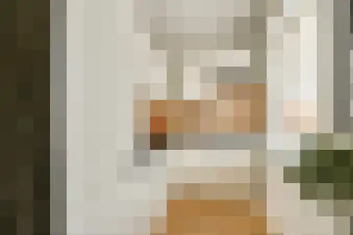 Zuideinde 141 A Koog aan de Zaan thumbnail 10