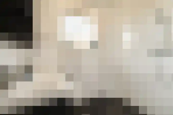 Zuideinde 141 A Koog aan de Zaan thumbnail 16