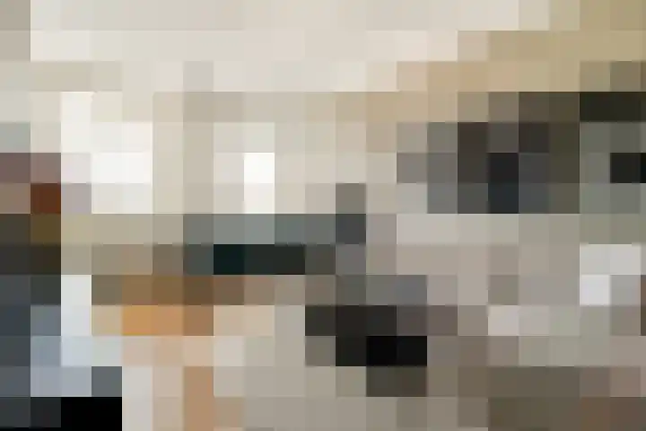 Zuideinde 141 A Koog aan de Zaan thumbnail 8