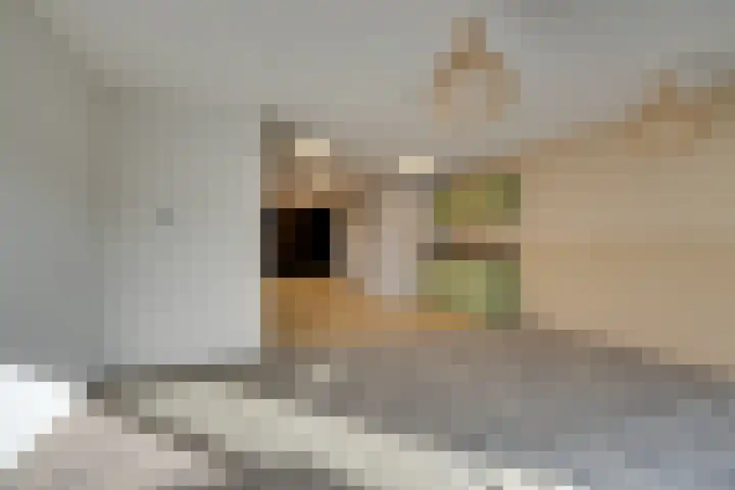 Zuideinde 149 Volendam thumbnail 60