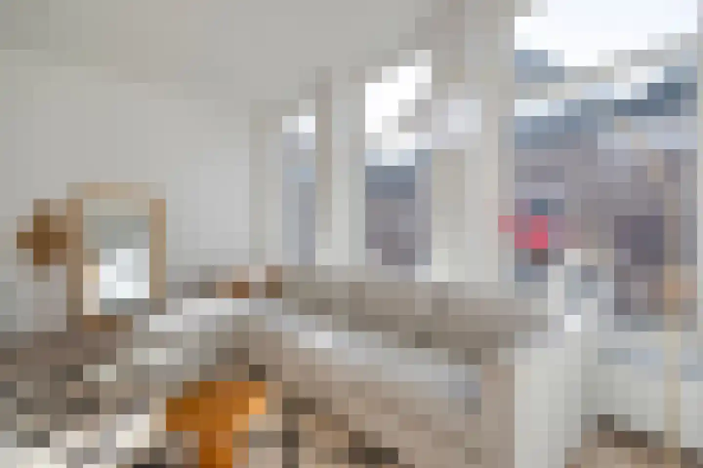 Zuideinde 15 A Meppel thumbnail 15