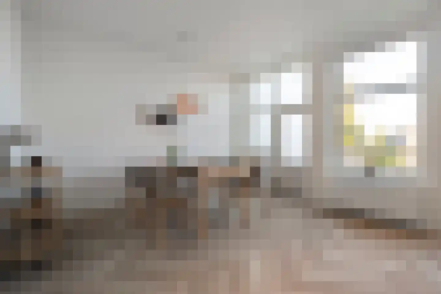 Zuideinde 15 A Meppel thumbnail 16