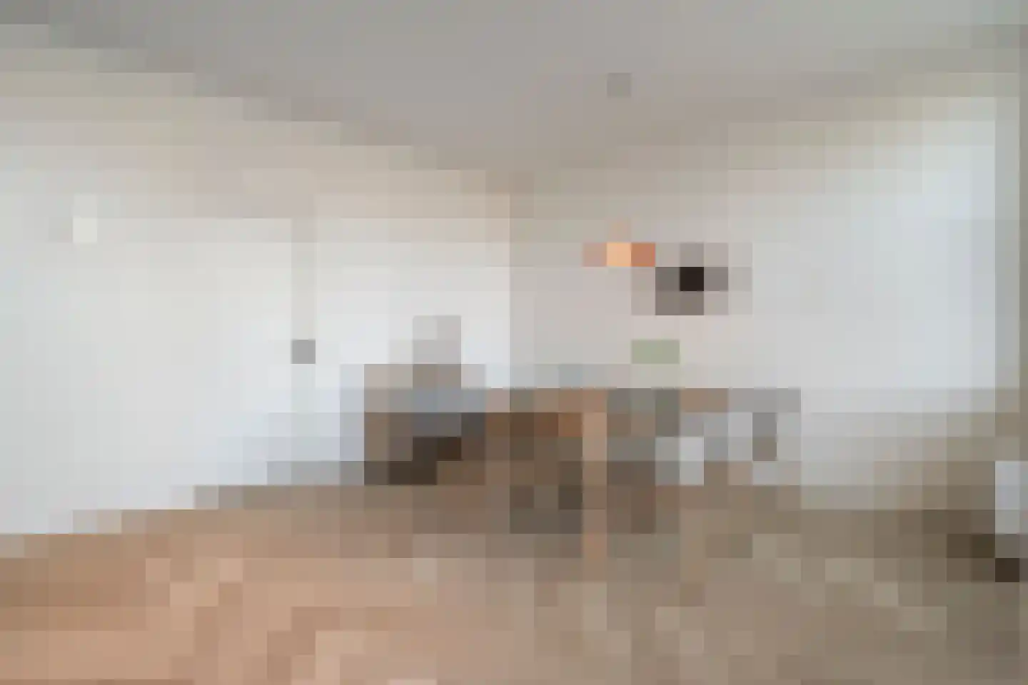 Zuideinde 15 A Meppel thumbnail 17