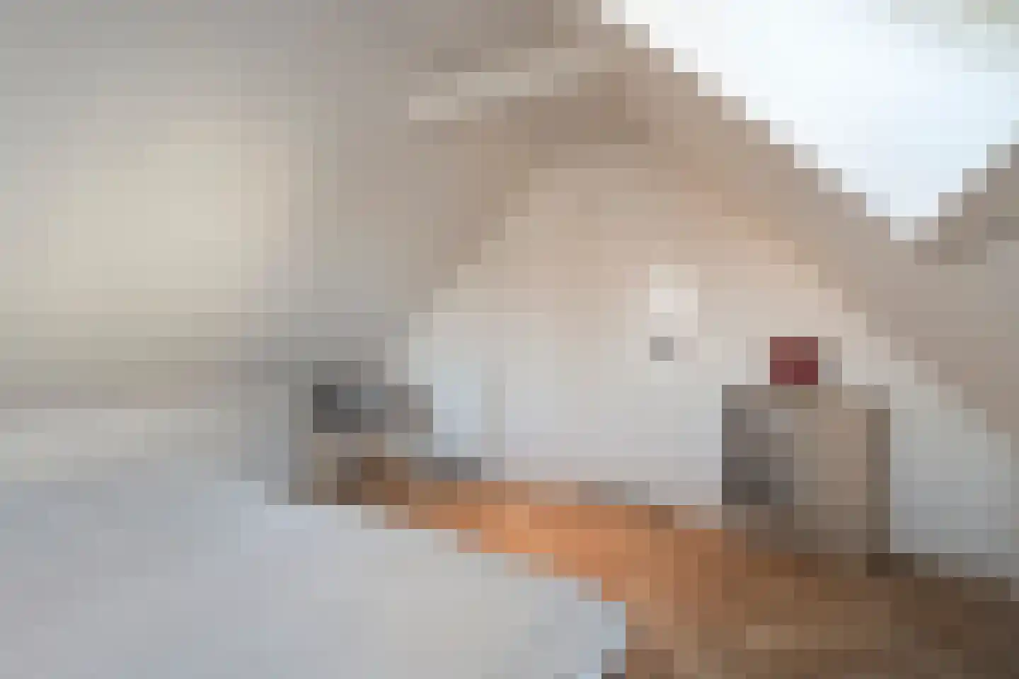 Zuideinde 15 A Meppel thumbnail 25