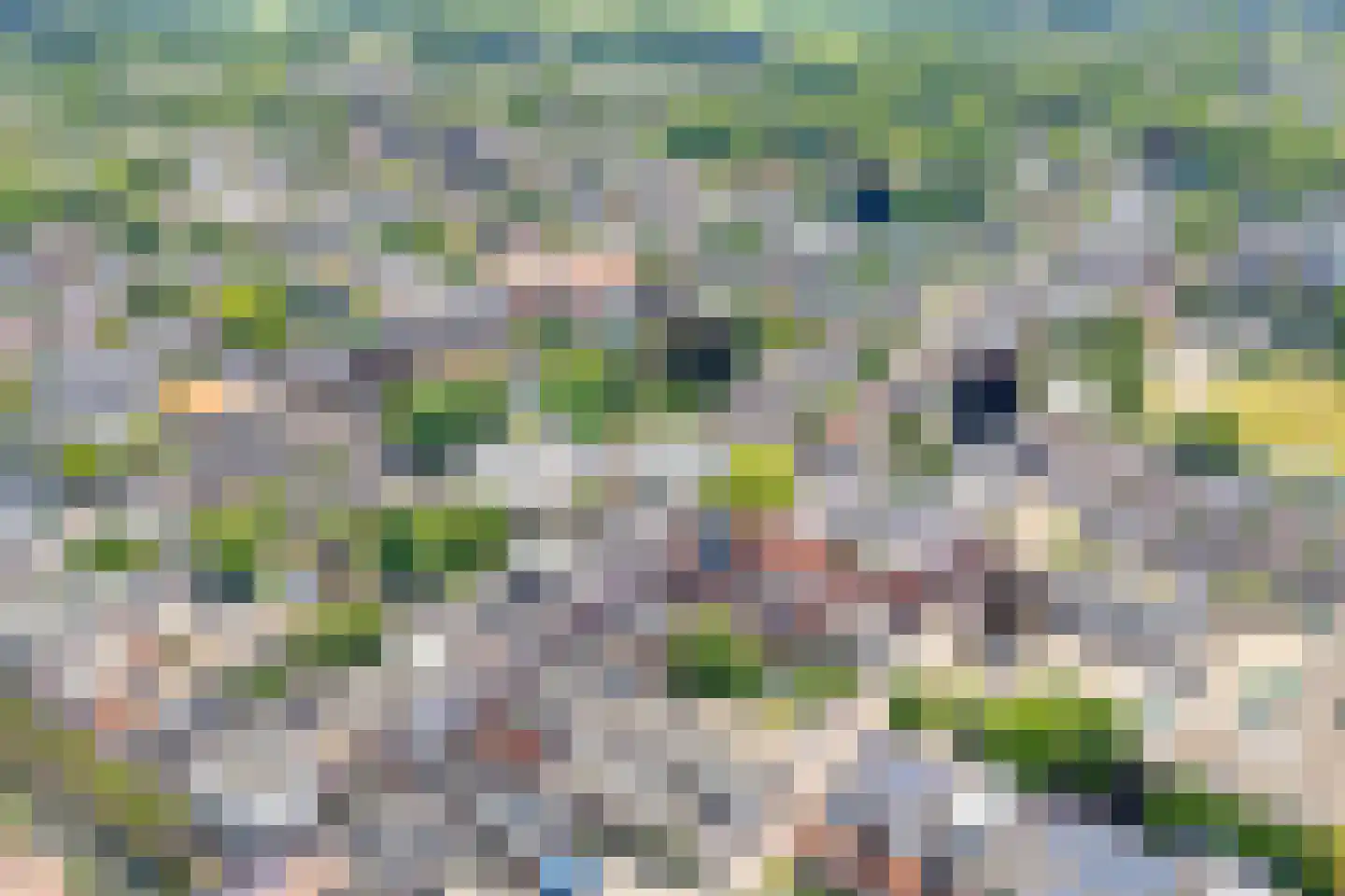 Zuideinde 15 A Meppel thumbnail 6