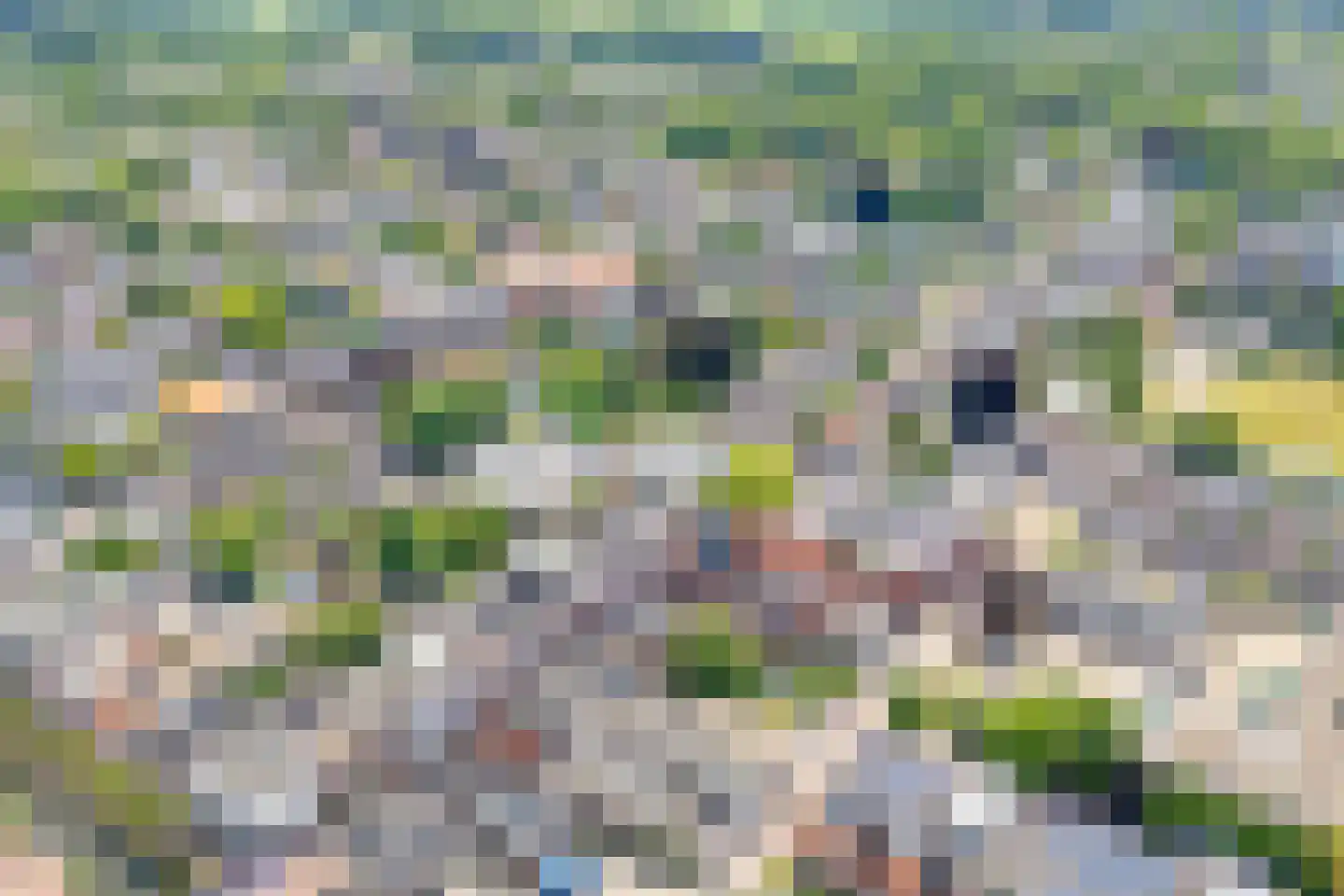 Zuideinde 15 A Meppel thumbnail 6