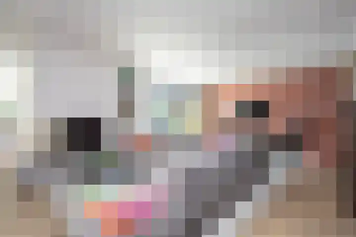 Zuideinde 15 Berkel en Rodenrijs thumbnail 15
