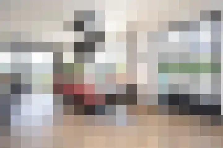Zuideinde 15 Berkel en Rodenrijs thumbnail 20