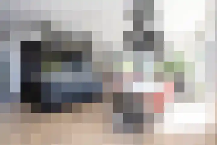 Zuideinde 15 Berkel en Rodenrijs thumbnail 22