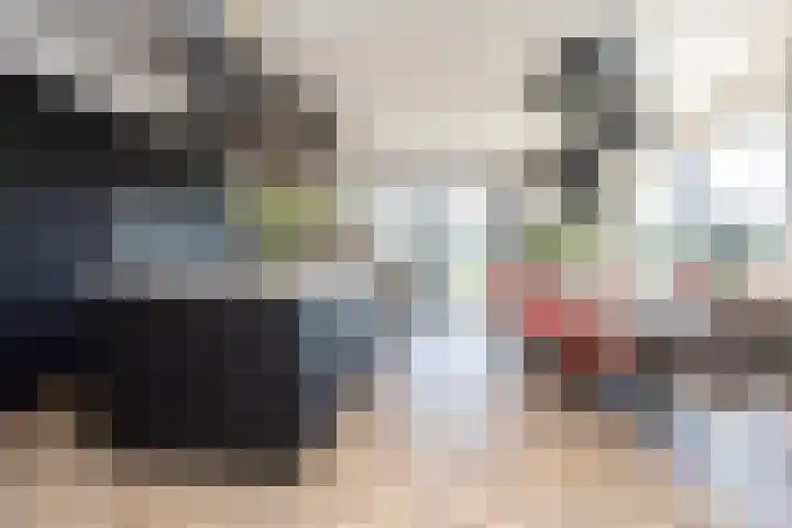 Zuideinde 15 Berkel en Rodenrijs thumbnail 23