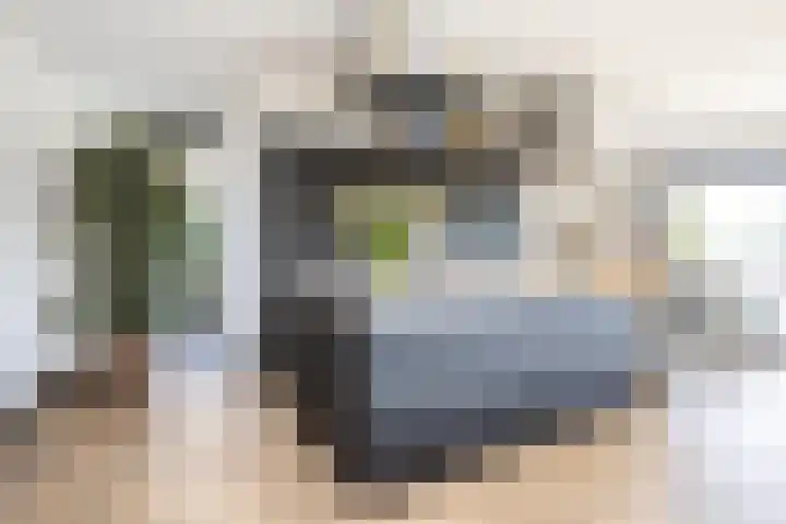 Zuideinde 15 Berkel en Rodenrijs thumbnail 24