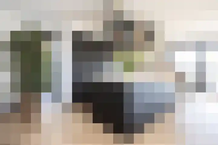 Zuideinde 15 Berkel en Rodenrijs thumbnail 25