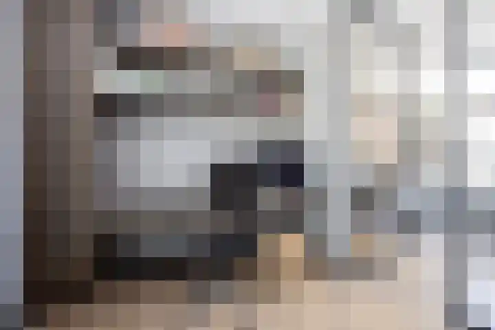 Zuideinde 15 Berkel en Rodenrijs thumbnail 32