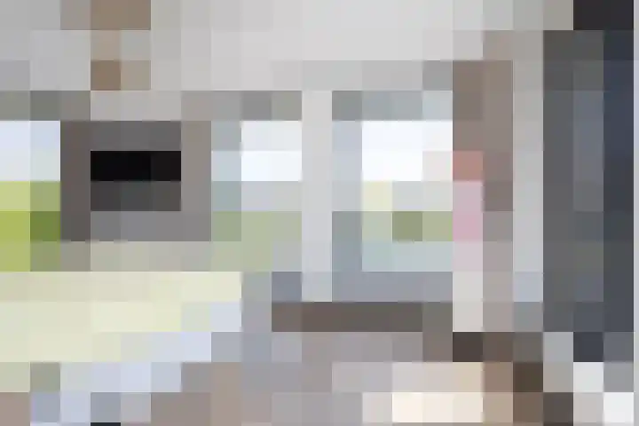 Zuideinde 15 Berkel en Rodenrijs thumbnail 37