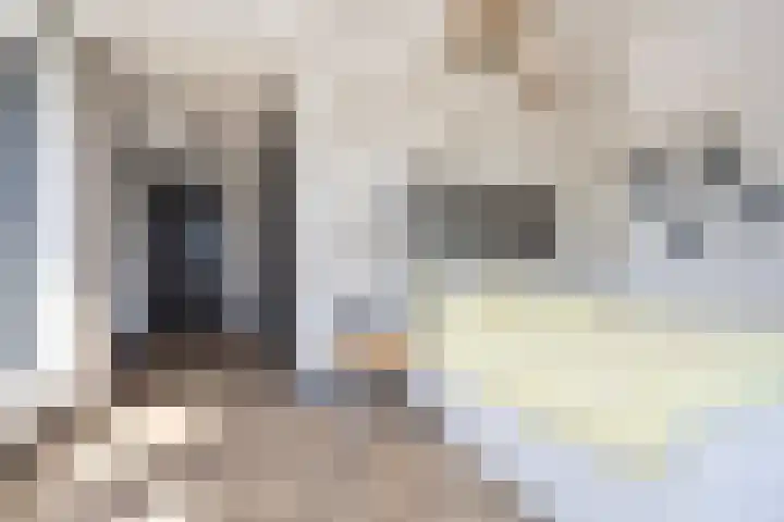 Zuideinde 15 Berkel en Rodenrijs thumbnail 39