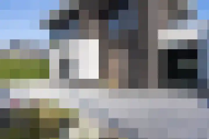 Zuideinde 15 Berkel en Rodenrijs thumbnail 4