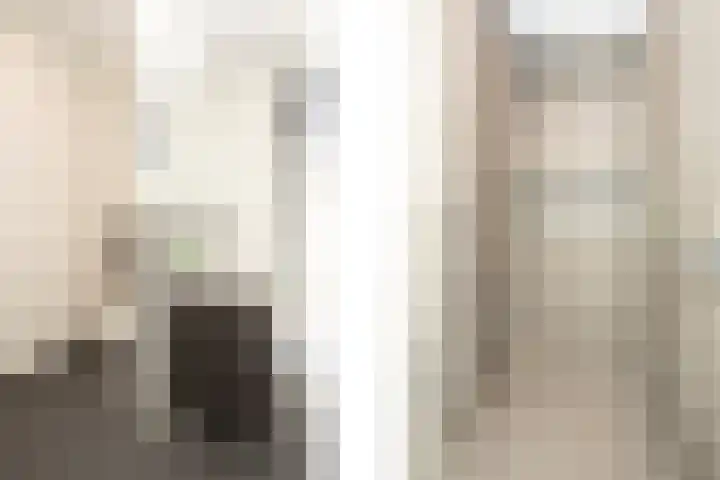 Zuideinde 15 Berkel en Rodenrijs thumbnail 43