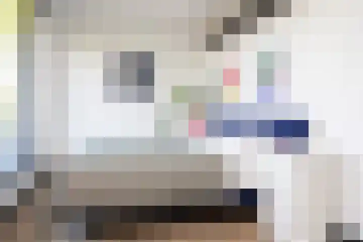 Zuideinde 15 Berkel en Rodenrijs thumbnail 48