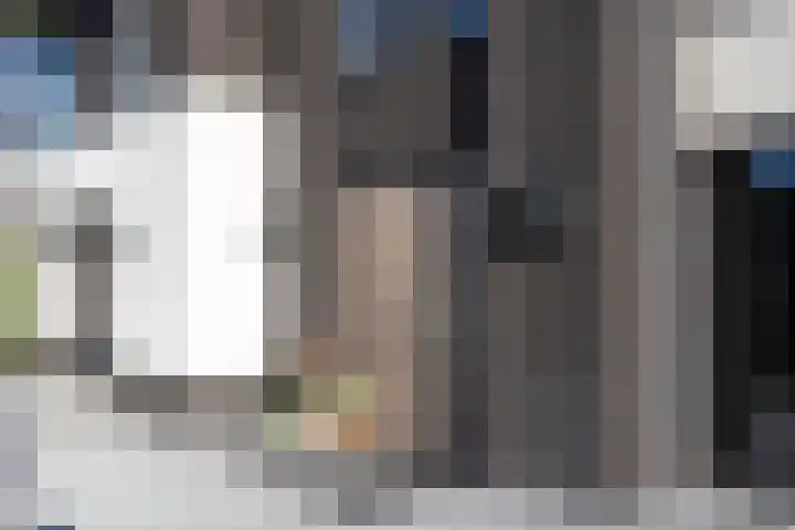 Zuideinde 15 Berkel en Rodenrijs thumbnail 5