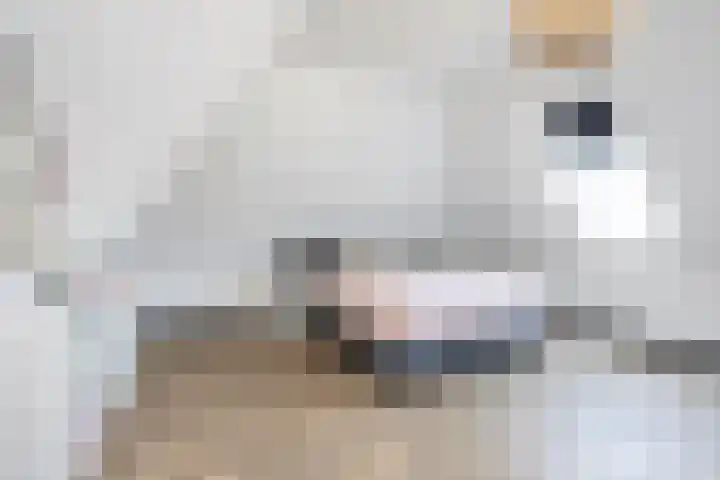 Zuideinde 15 Berkel en Rodenrijs thumbnail 58