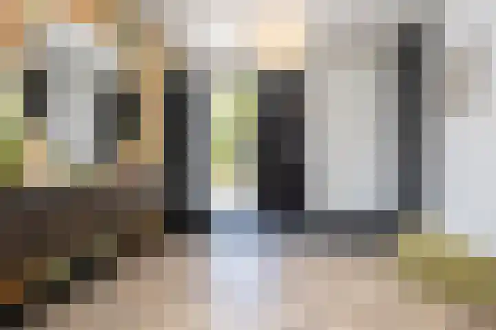Zuideinde 15 Berkel en Rodenrijs thumbnail 6