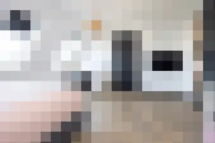Zuideinde 15 Berkel en Rodenrijs thumbnail 60