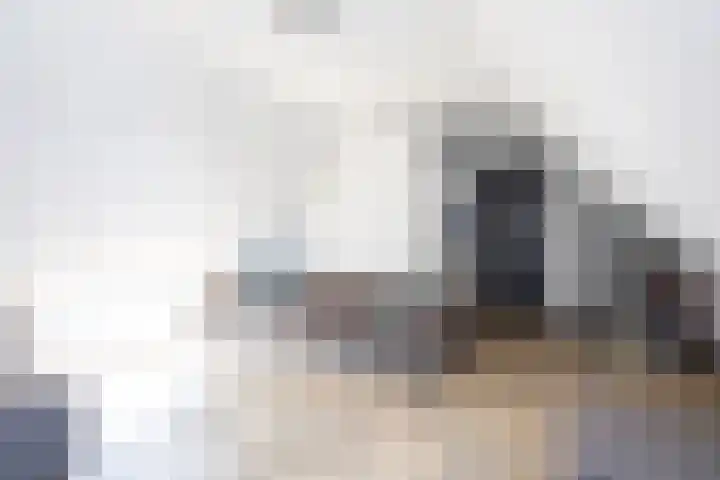 Zuideinde 15 Berkel en Rodenrijs thumbnail 62
