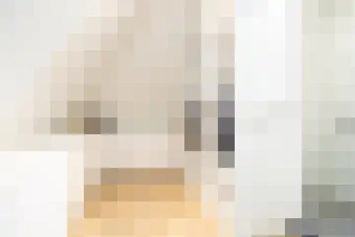 Zuideinde 15 Berkel en Rodenrijs thumbnail 64