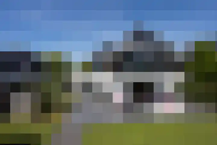 Zuideinde 15 Berkel en Rodenrijs thumbnail 68