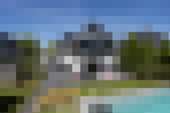Zuideinde 15 Berkel en Rodenrijs thumbnail 69