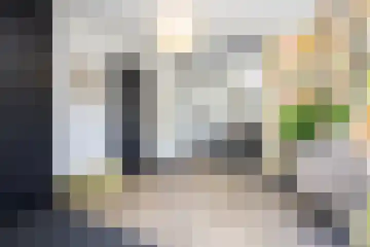 Zuideinde 15 Berkel en Rodenrijs thumbnail 7