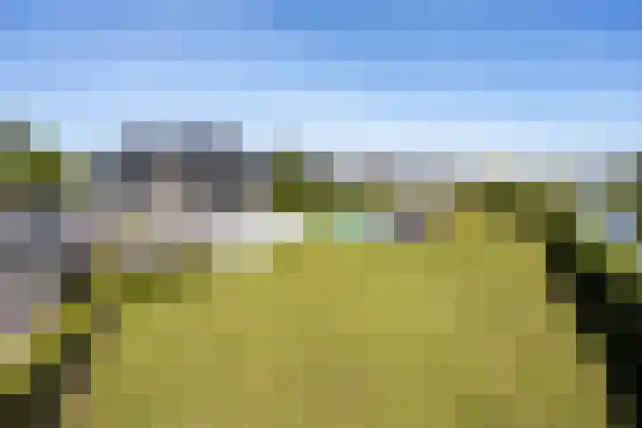 Zuideinde 15 Berkel en Rodenrijs thumbnail 75