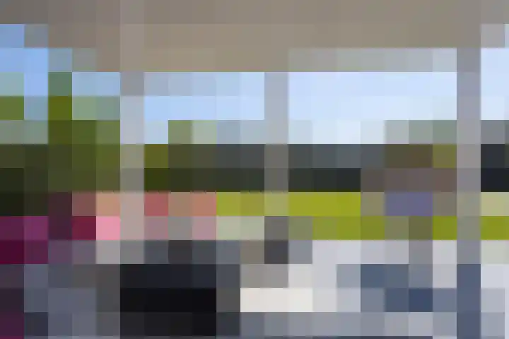 Zuideinde 15 Berkel en Rodenrijs thumbnail 76
