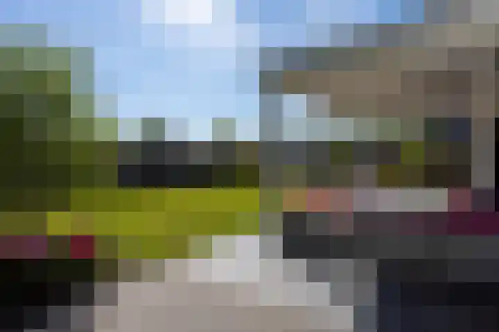 Zuideinde 15 Berkel en Rodenrijs thumbnail 77