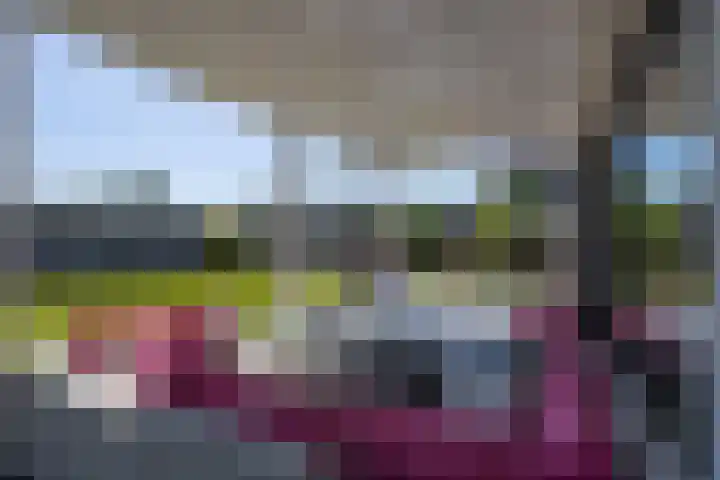 Zuideinde 15 Berkel en Rodenrijs thumbnail 78