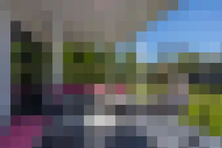 Zuideinde 15 Berkel en Rodenrijs thumbnail 79