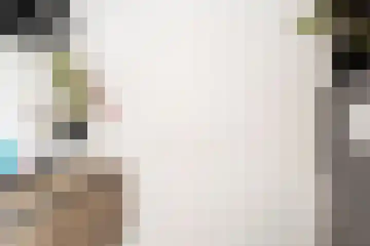 Zuideinde 15 Berkel en Rodenrijs thumbnail 8