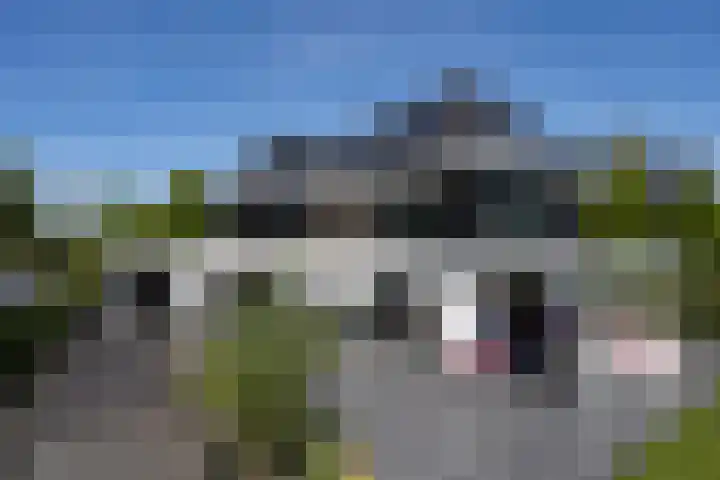 Zuideinde 15 Berkel en Rodenrijs thumbnail 80