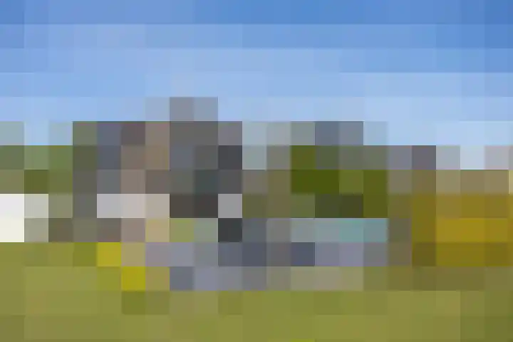Zuideinde 15 Berkel en Rodenrijs thumbnail 82