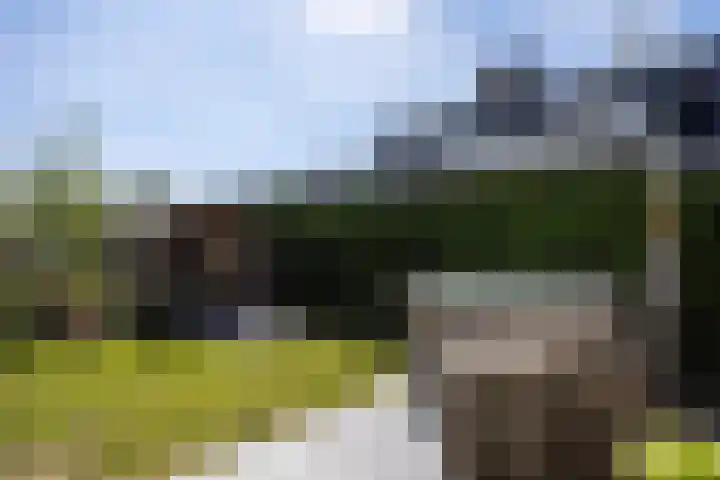Zuideinde 15 Berkel en Rodenrijs thumbnail 87